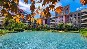 11- AYDOS COUNTRY GÖRSEL (2)