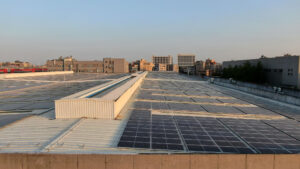 Dawn sun shines on solar panels