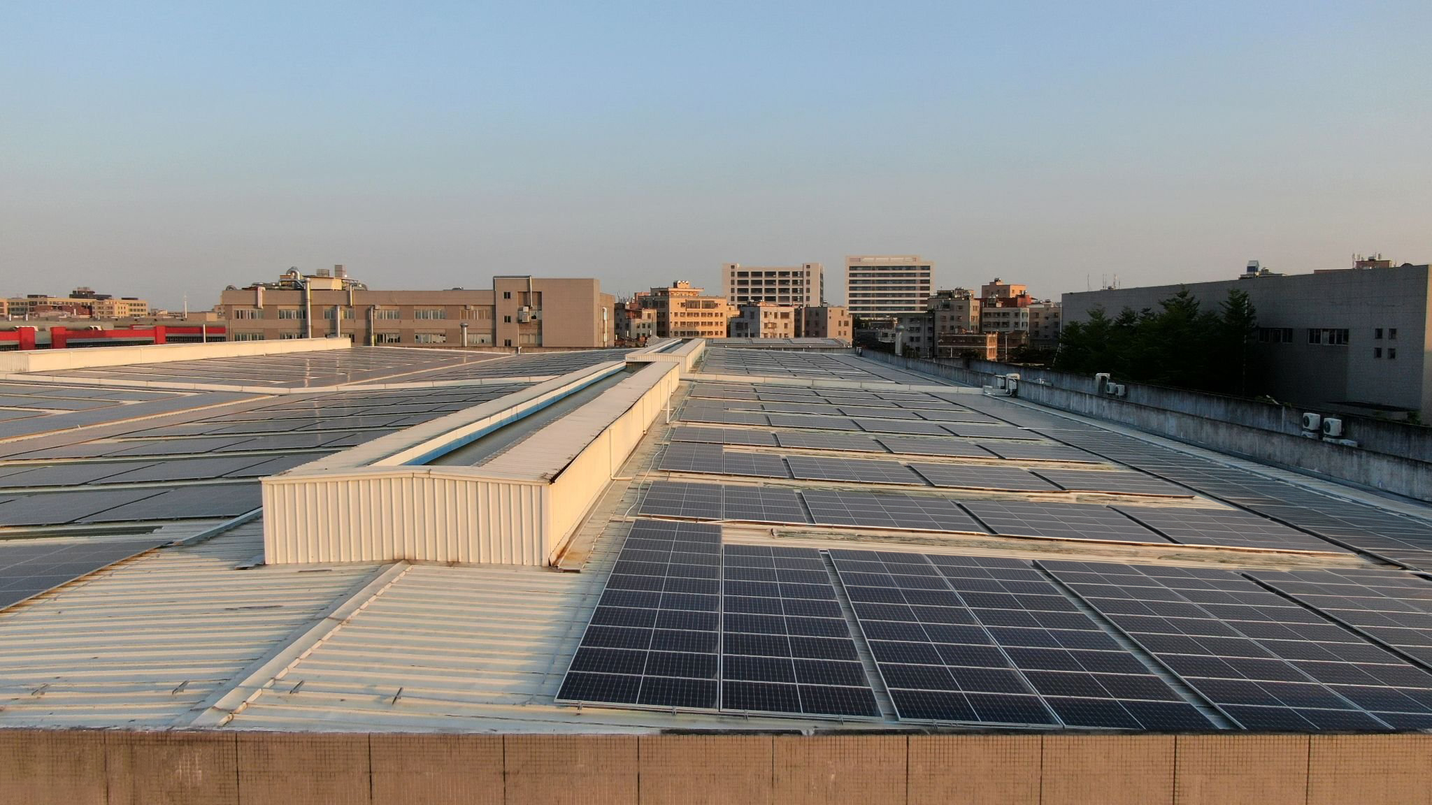 Dawn sun shines on solar panels