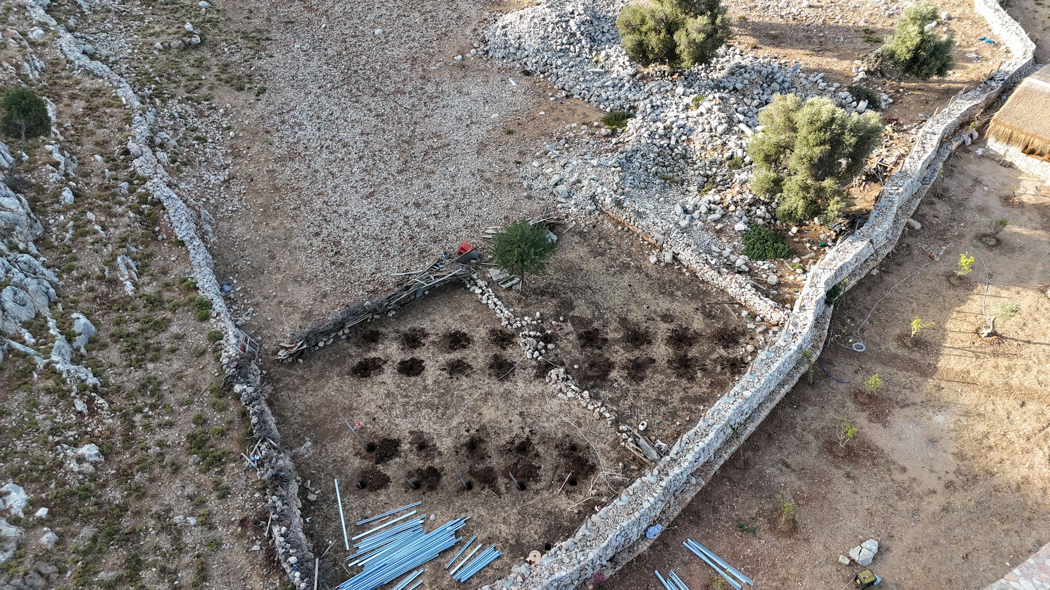 WhatsApp Görsel 2024-06-12 saat 09.54.11_f2143773