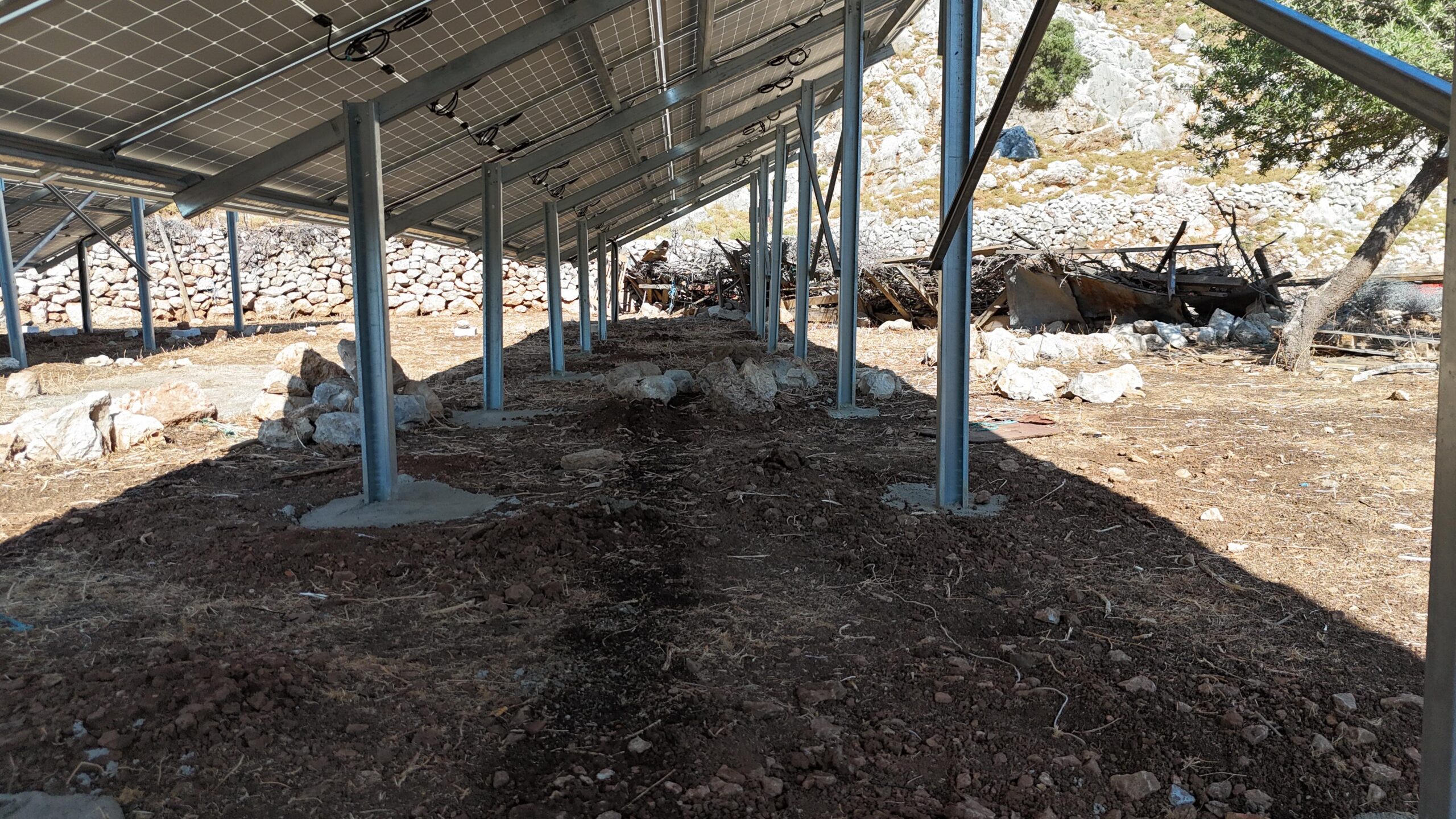 WhatsApp Görsel 2024-06-12 saat 09.57.02_0022674b